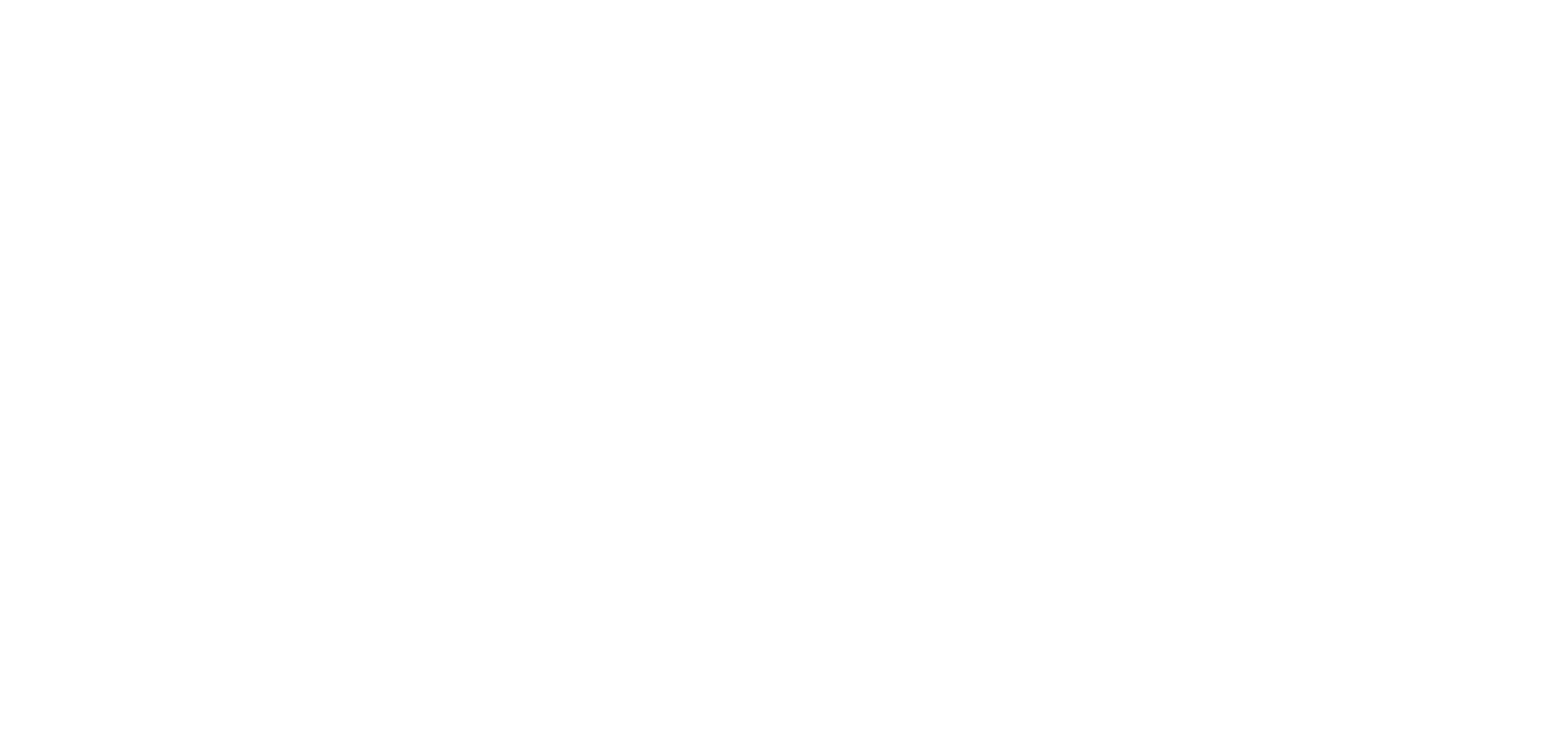 BGI Logo blanc